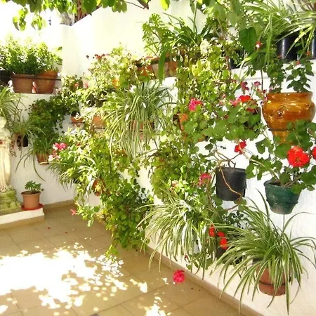 Apartment 3006 In Llanca